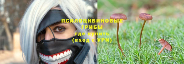 крисы Алексин