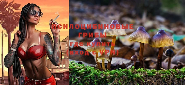 MESCALINE Алзамай