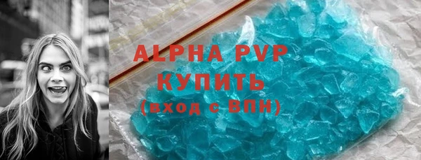 крисы Алексин